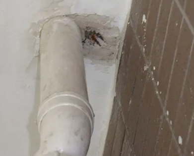 瓦房店漏水检测哪家好